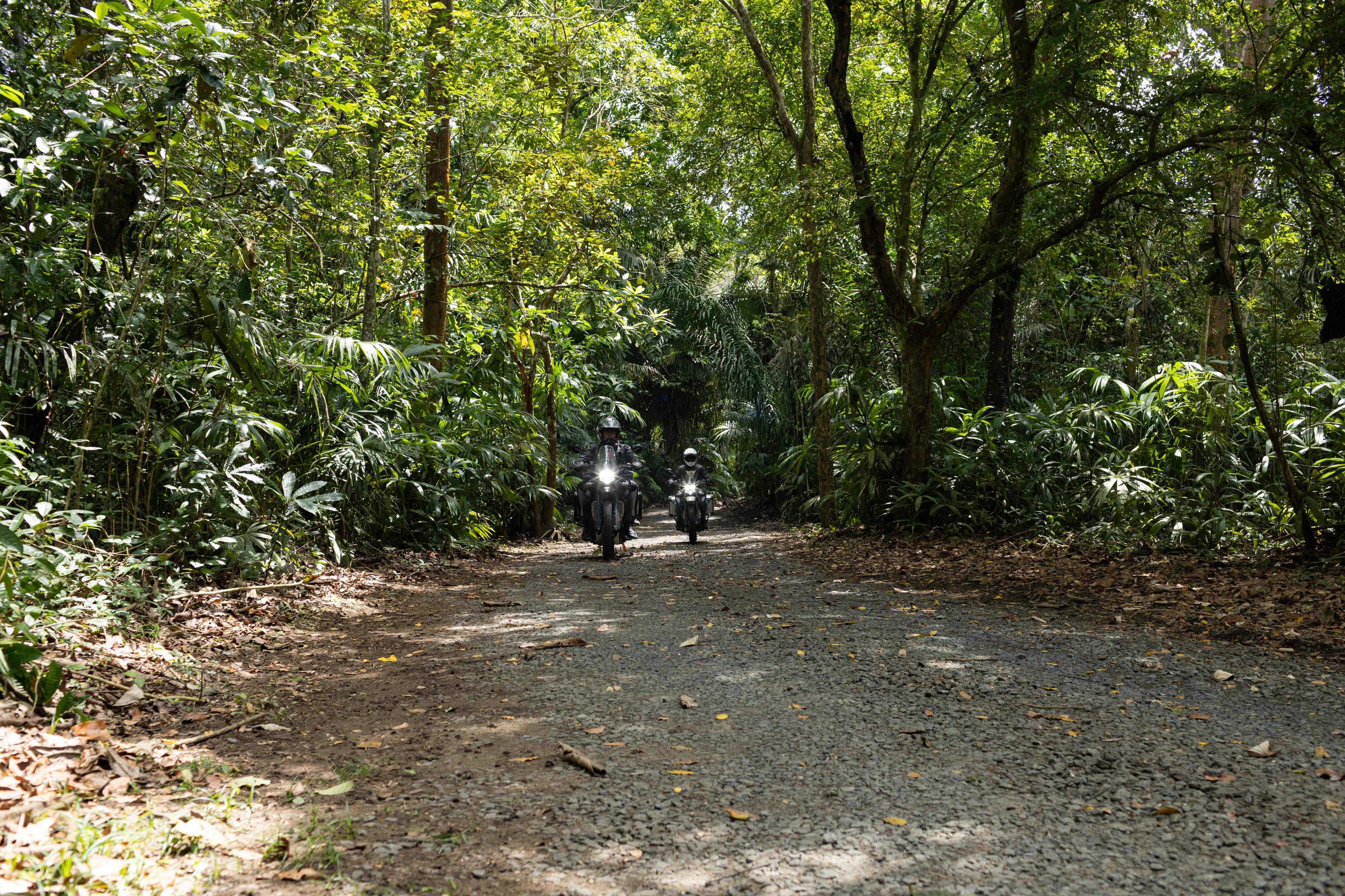 Royal Enfield Himalayan 11
