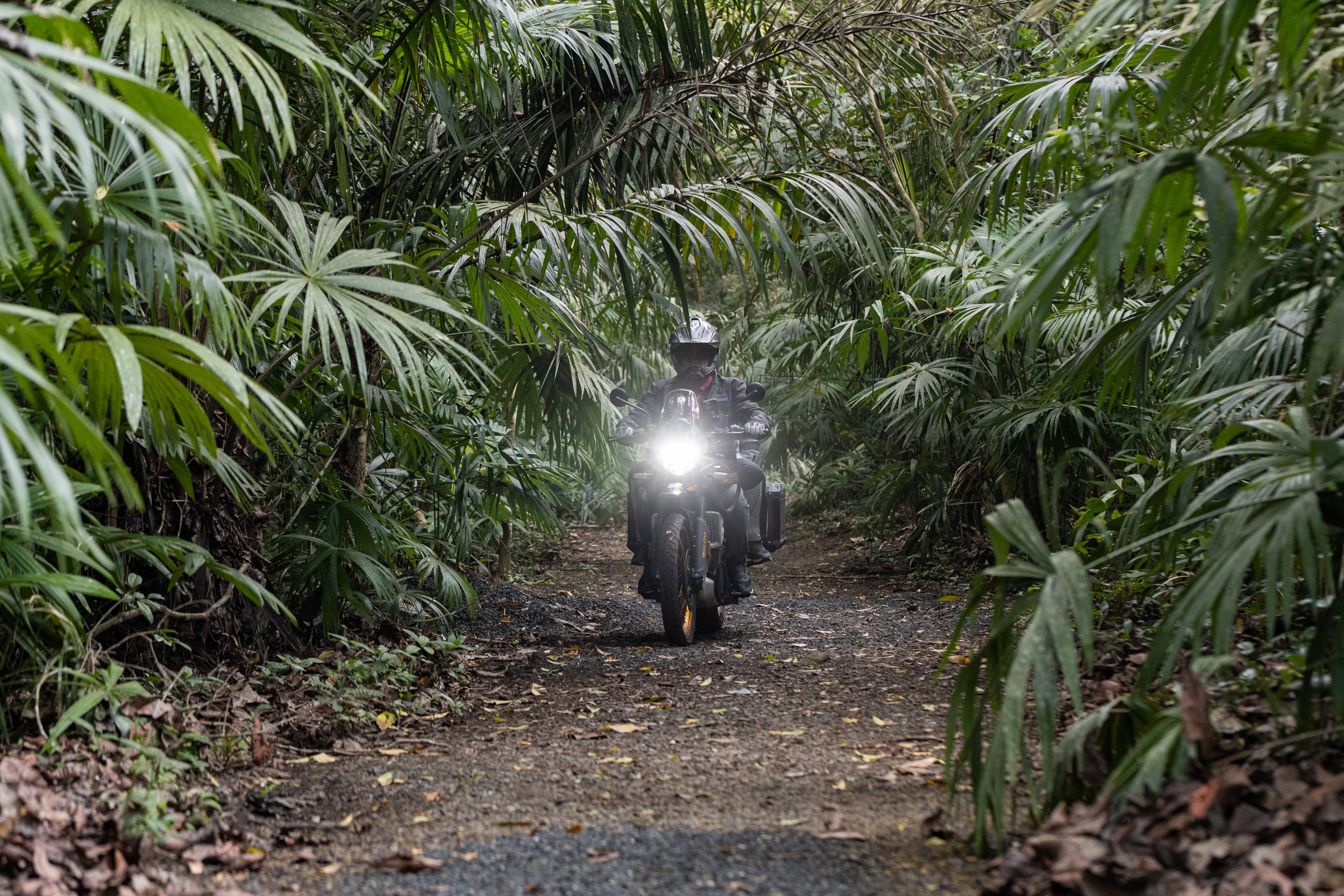Royal Enfield Himalayan 8