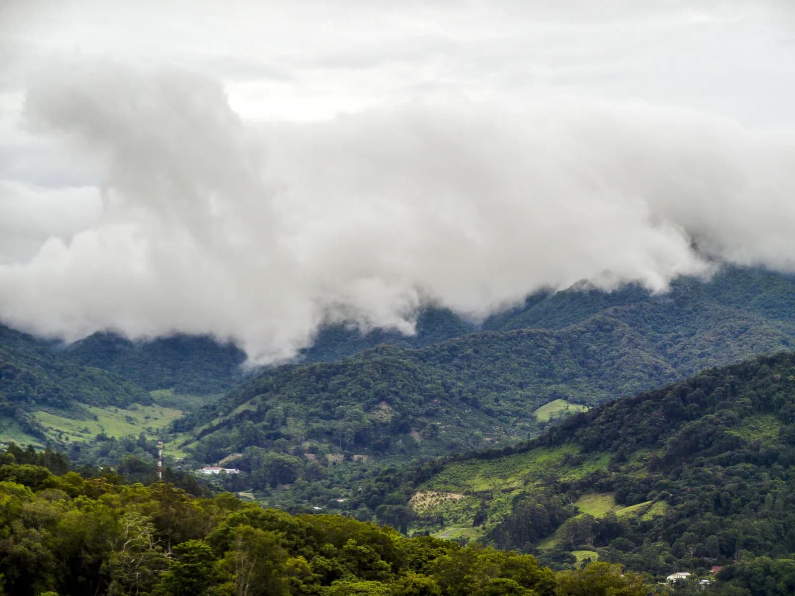 Boquete cloud forest
